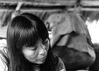 Shipobo Malen